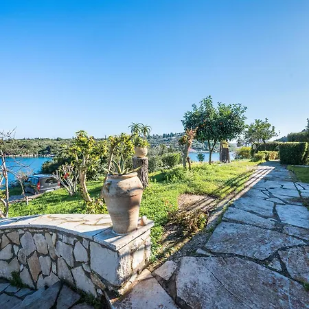 Dolphin * Гайос